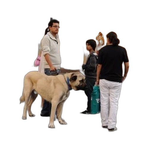 animal, staff, creature, 3d render, photorealistic, concept art, large, dog transparent PNG cut-out