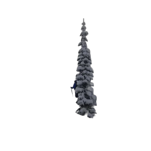 tree, weapon, crown, jewelry, 3d render, concept art, pixel art, photorealistic transparent PNG cut-out