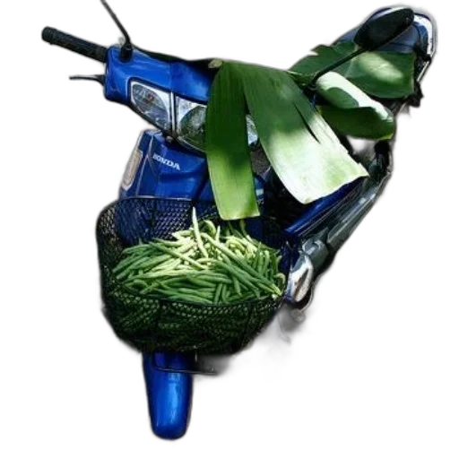 weapon, food, jewelry, car, photorealistic, 3d render, concept art, green transparent PNG cut-out