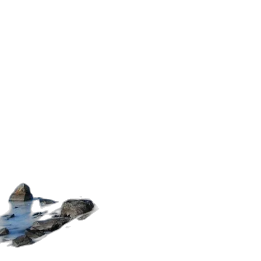 animal, weapon, creature, shoes, 3d render, concept art, photorealistic, pixel art transparent PNG cut-out