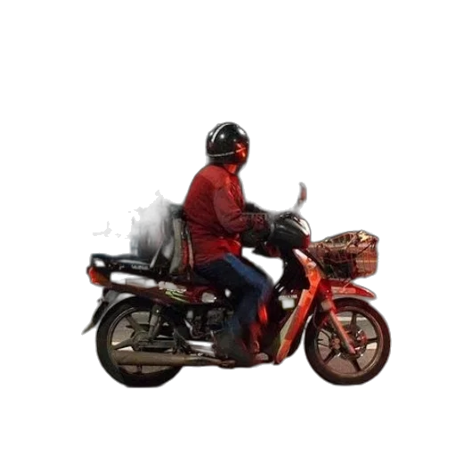jacket, animal, weapon, staff, photorealistic, 3d render, concept art, oil painting transparent PNG cut-out