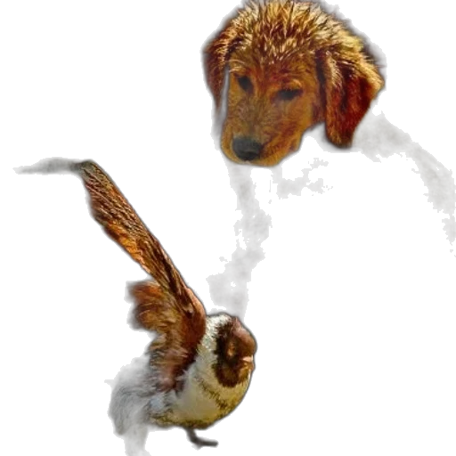 animal, creature, dragon, staff, photorealistic, concept art, pixel art, fantasy art transparent PNG cut-out