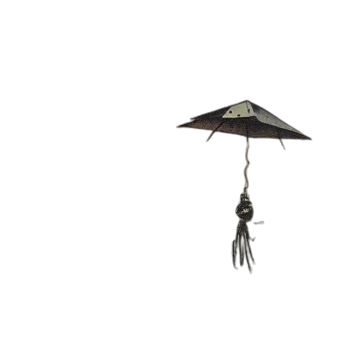 umbrella, staff, jewelry, hat transparent PNG cut-out