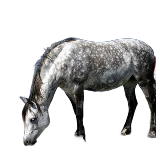 animal, creature, dragon, photorealistic, 3d render, concept art, fantasy art, gray transparent PNG cut-out