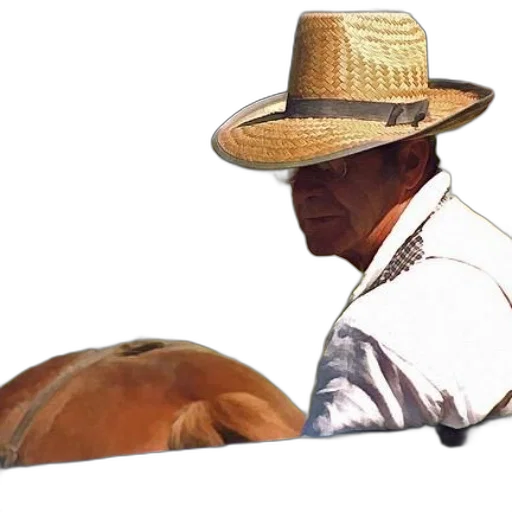 hat, animal, mask, staff, photorealistic, oil painting, concept art, 3d render transparent PNG cut-out