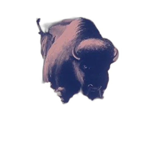 animal, staff, mask, face, photorealistic, concept art, 3d render, pixel art transparent PNG cut-out