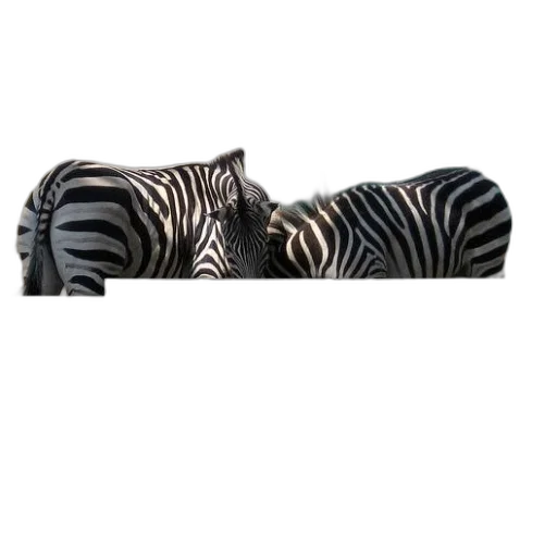 furniture, animal, shoes, jewelry, 3d render, photorealistic, monochrome, two transparent PNG cut-out