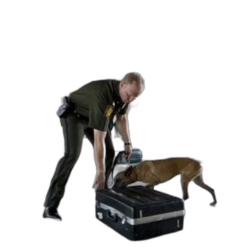 staff, animal, weapon, police, officer, training, dog, sniff transparent PNG cut-out