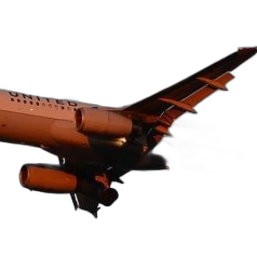 staff, animal, 3d render, photorealistic, concept art, united, airlines, airplane transparent PNG cut-out