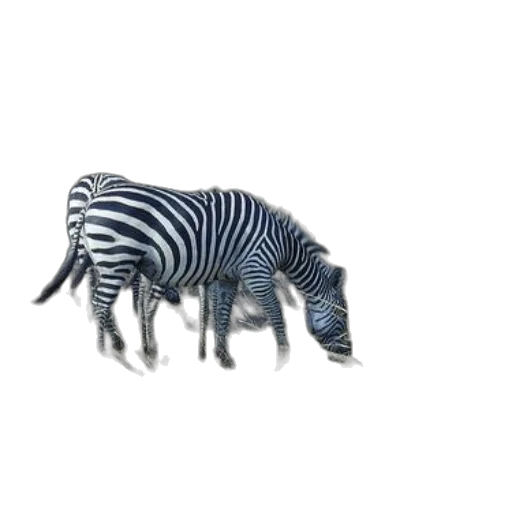 animal, creature, furniture, jewelry, 3d render, concept art, photorealistic, watercolor transparent PNG cut-out