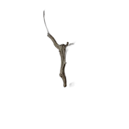 staff, weapon, sword, animal, 3d render, concept art, photorealistic, earth tones transparent PNG cut-out