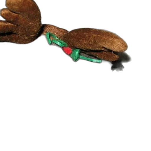 shoes, food, hat, weapon, 3d render, photorealistic, concept art, stuffed transparent PNG cut-out
