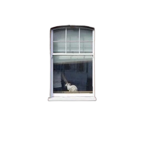 furniture, building, animal, face, 3d render, photorealistic, white, cat transparent PNG cut-out