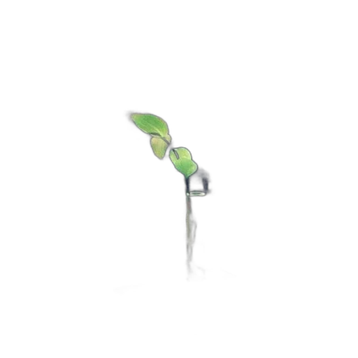 staff, tree, flower, weapon, 3d render, photorealistic, concept art, pixel art transparent PNG cut-out