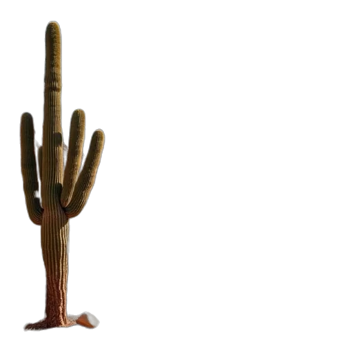 staff, weapon, furniture, hat transparent PNG cut-out