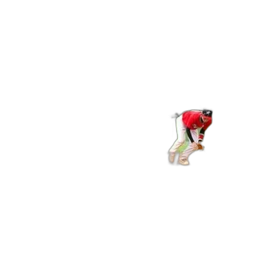 staff, animal, shoes, hat, pixel art, red, baseball, player transparent PNG cut-out
