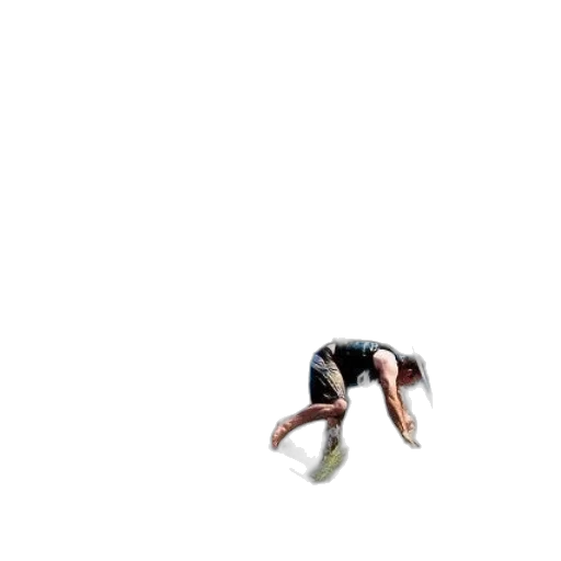 hair, creature, animal, shoes, pixel art, 3d render, photorealistic, concept art transparent PNG cut-out
