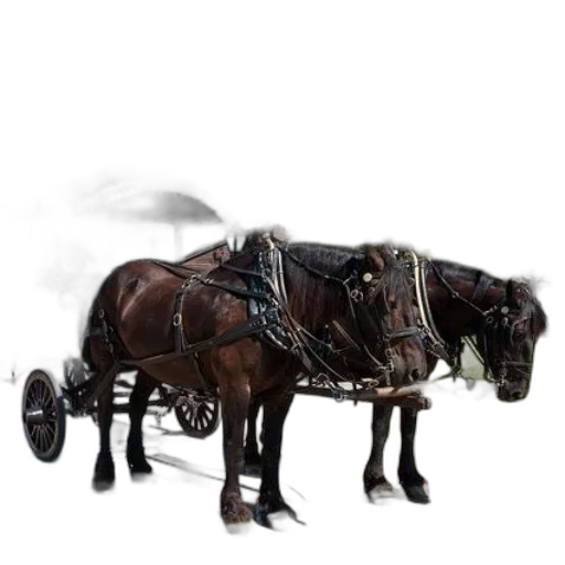 animal, weapon, staff, robot, concept art, photorealistic, fantasy art, 3d render transparent PNG cut-out