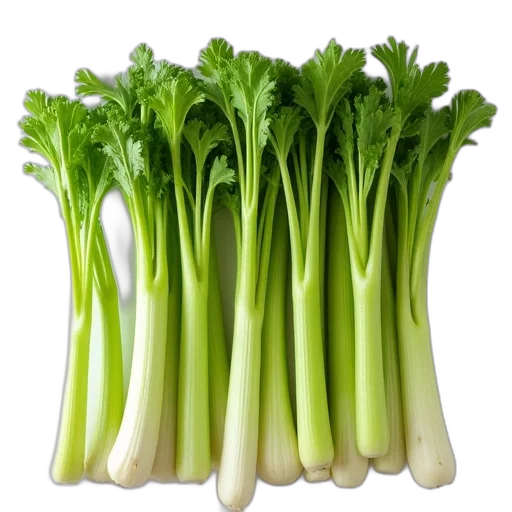 food, crown, weapon, animal, photorealistic, green, celery, stalks transparent PNG cut-out
