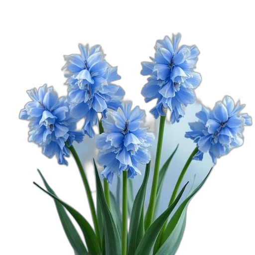 flower, crown, weapon, staff, photorealistic, 3d render, oil painting, blue transparent PNG cut-out