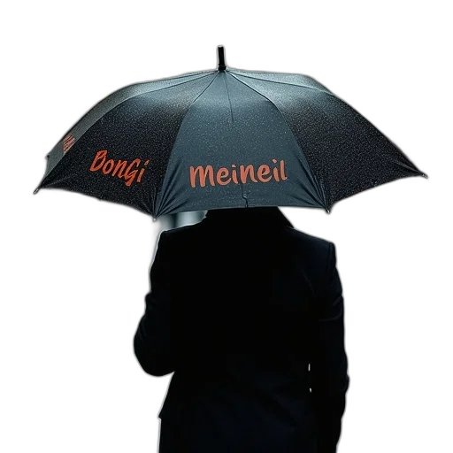 umbrella, hat, jacket, staff, photorealistic, 3d render, concept art, rain transparent PNG cut-out