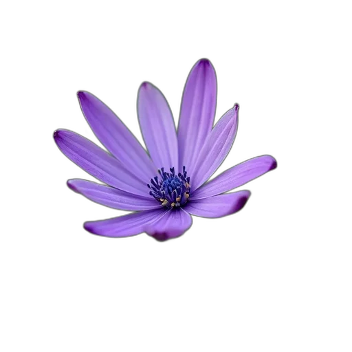 flower, jewelry, crown, staff, 3d render, photorealistic, oil painting, watercolor transparent PNG cut-out