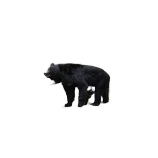 animal, creature, staff, pixel art, concept art, 3d render, photorealistic, black transparent PNG cut-out
