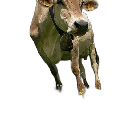 animal, creature, mask, face, 3d render, photorealistic, concept art, pixel art transparent PNG cut-out