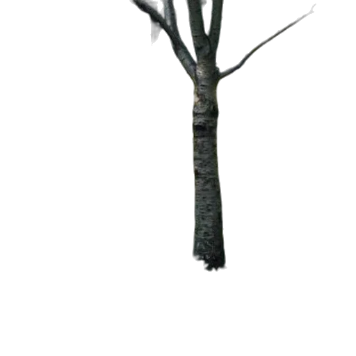 tree, staff, furniture, weapon, 3d render, concept art, photorealistic, fantasy art transparent PNG cut-out