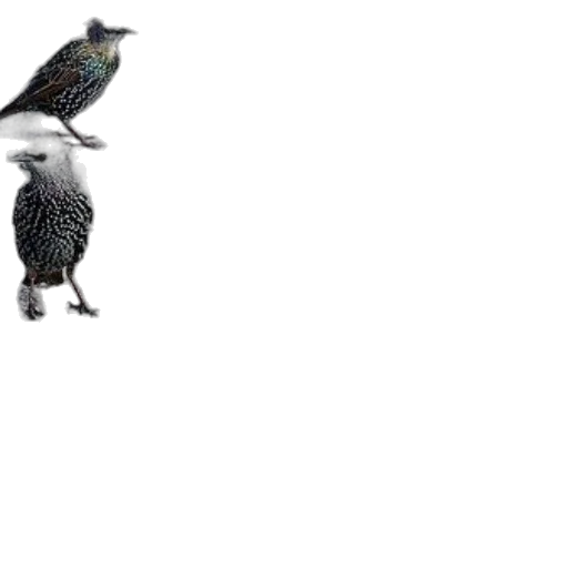 animal, creature, dragon, robot, 3d render, concept art, photorealistic, pixel art transparent PNG cut-out