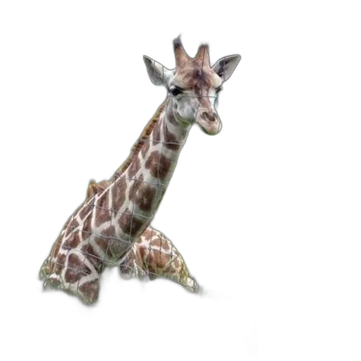 animal, creature, staff, weapon, 3d render, photorealistic, concept art, fantasy art transparent PNG cut-out