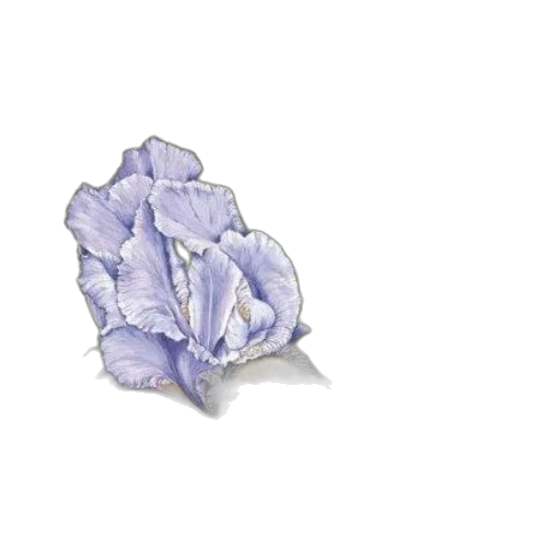 flower, jewelry, crown, hat, photorealistic, 3d render, watercolor, concept art transparent PNG cut-out