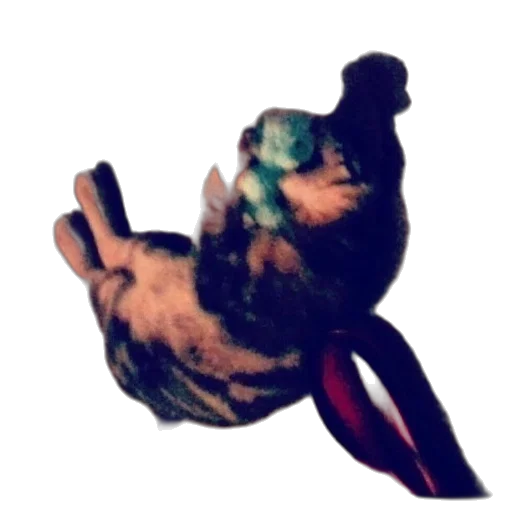 animal, staff, creature, hat transparent PNG cut-out