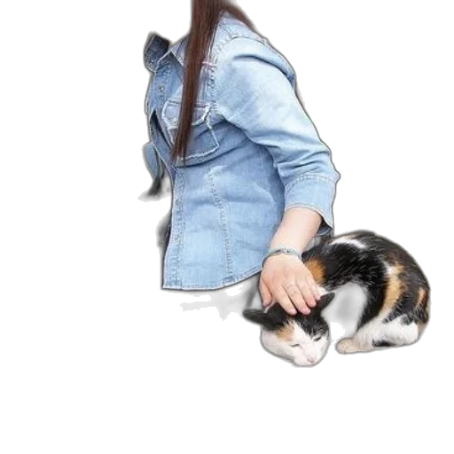 animal, jacket, creature, staff, photorealistic, 3d render, oil painting, cartoon transparent PNG cut-out