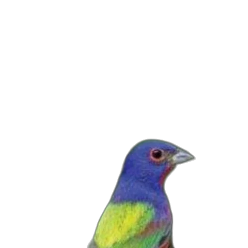 animal, staff, jewelry, creature, watercolor, photorealistic, concept art, 3d render transparent PNG cut-out