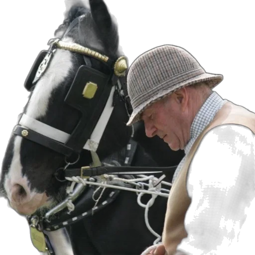hat, animal, staff, man, plaid, vest, stands, next transparent PNG cut-out
