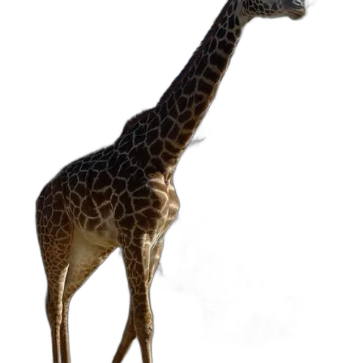 animal, creature, staff, weapon transparent PNG cut-out