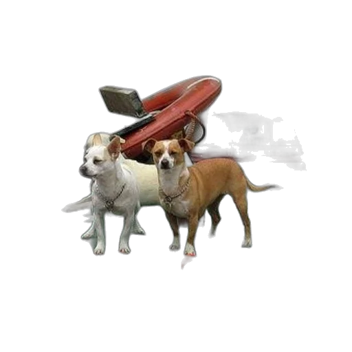 animal, weapon, staff, car, 3d render, concept art, photorealistic, pixel art transparent PNG cut-out