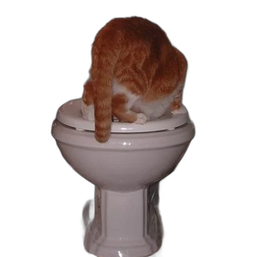 animal, furniture, staff, creature, 3d render, photorealistic, cat, sitting transparent PNG cut-out