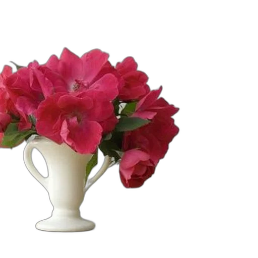 flower, crown, photorealistic, 3d render, oil painting, red, white, ceramic transparent PNG cut-out