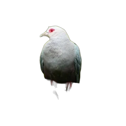 animal, creature, crown, jacket, 3d render, concept art, photorealistic, watercolor transparent PNG cut-out