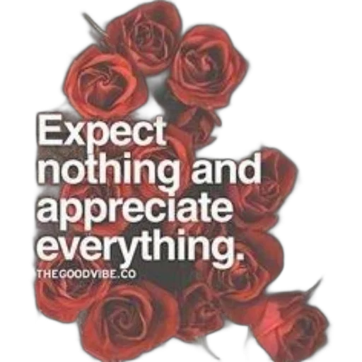 flower, expect, nothing, appreciate, everything, thegoodvibe, featuring, beautiful transparent PNG cut-out