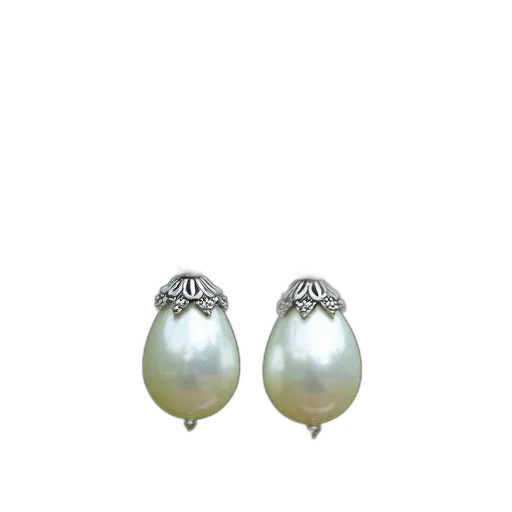 jewelry, crown, shoes, flower, 3d render, photorealistic, pair, silver transparent PNG cut-out