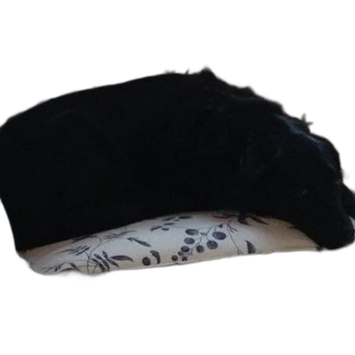 hat, jacket, crown, mask, black, dog, resting, floral-patterned transparent PNG cut-out