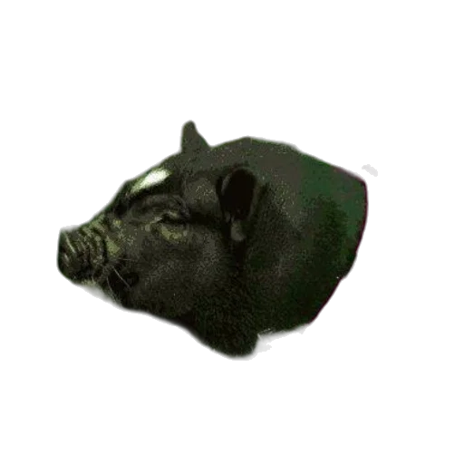 animal, mask, hat, face, photorealistic, 3d render, concept art, pixel art transparent PNG cut-out