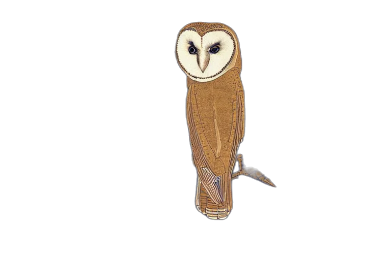 jewelry, staff, animal, jacket transparent PNG cut-out
