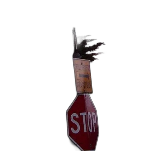 staff, hair, weapon, bottle, 3d render, photorealistic, concept art, stop transparent PNG cut-out