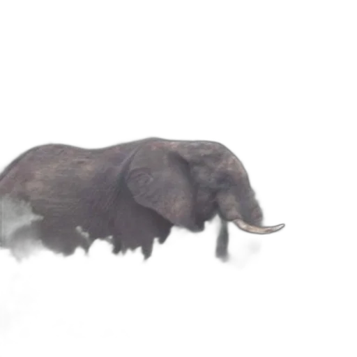 animal, creature, car, hair, 3d render, concept art, photorealistic, watercolor transparent PNG cut-out