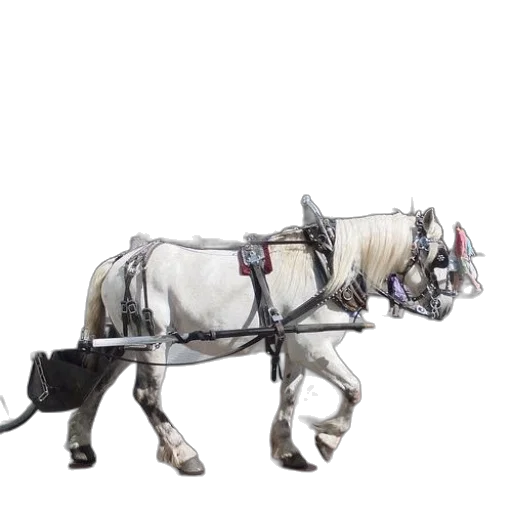 animal, staff, robot, weapon, 3d render, concept art, photorealistic, white transparent PNG cut-out