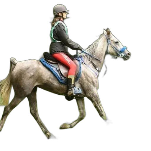 animal, photorealistic, concept art, 3d render, pixel art, person, riding, horse transparent PNG cut-out